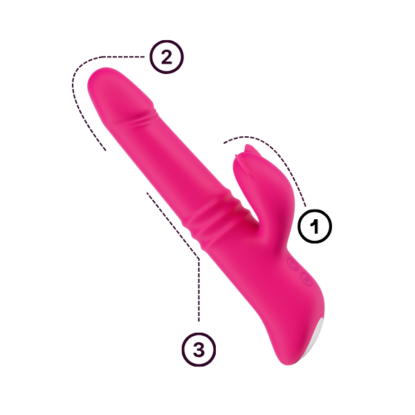 Rabbit Features.png__PID:956e895a-ec16-4953-84e1-e860a98a2a0a