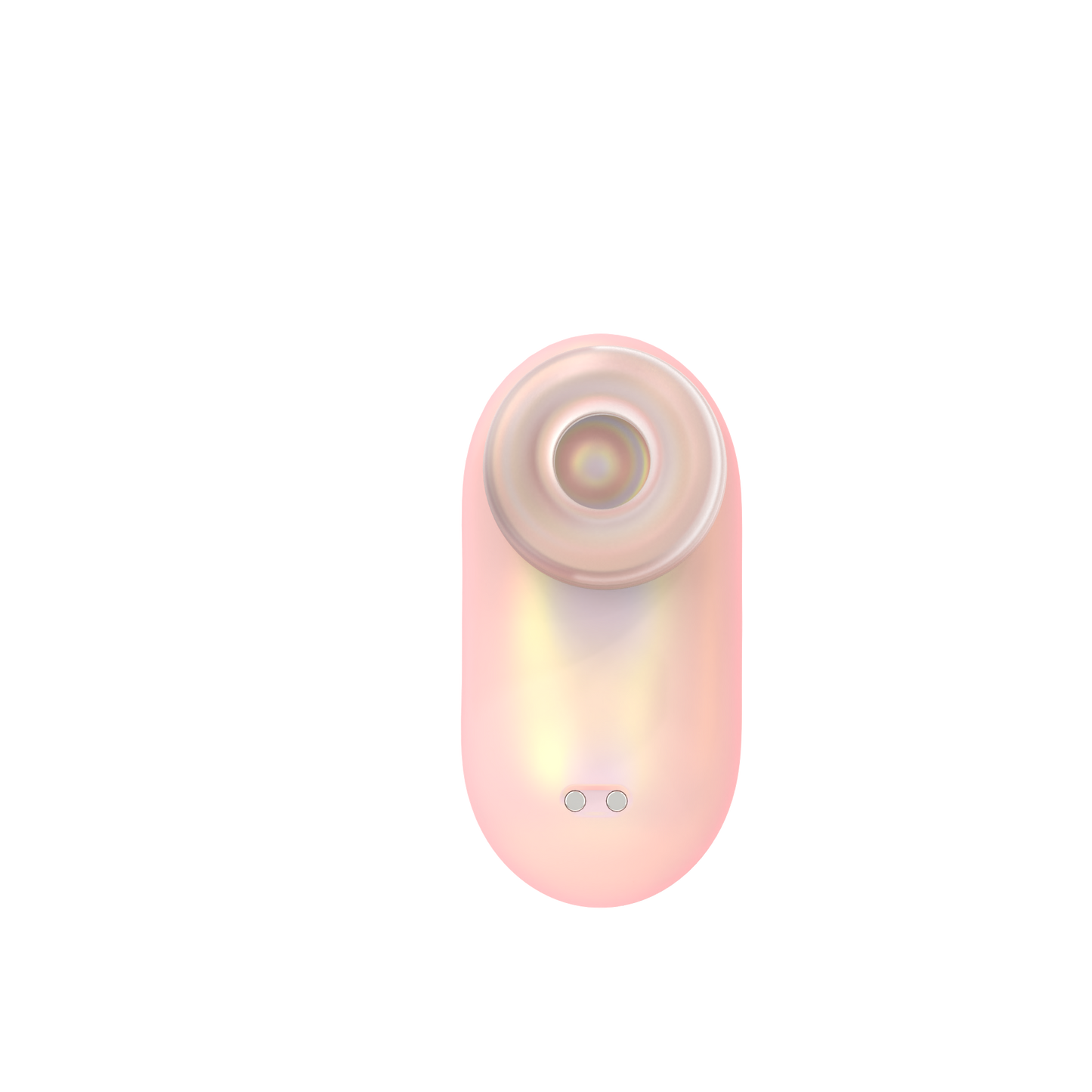 Mini Succulent
