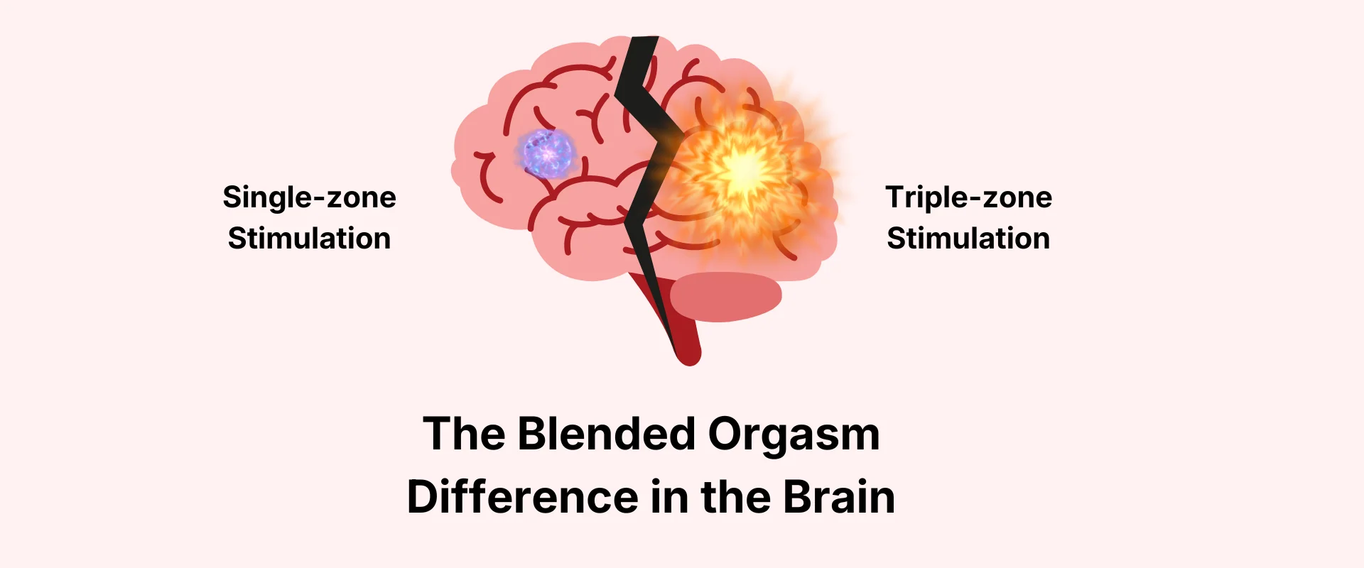 Blended Orgasm Difference Brain