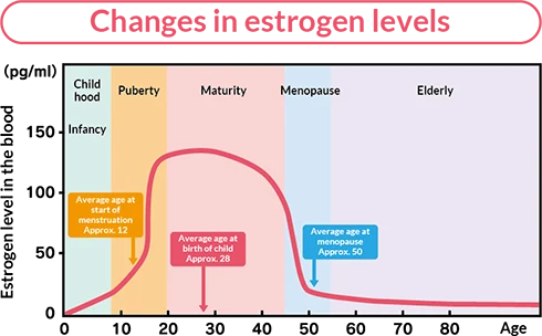 Chart showing changes in estrogen levels throughout different stages of life.
