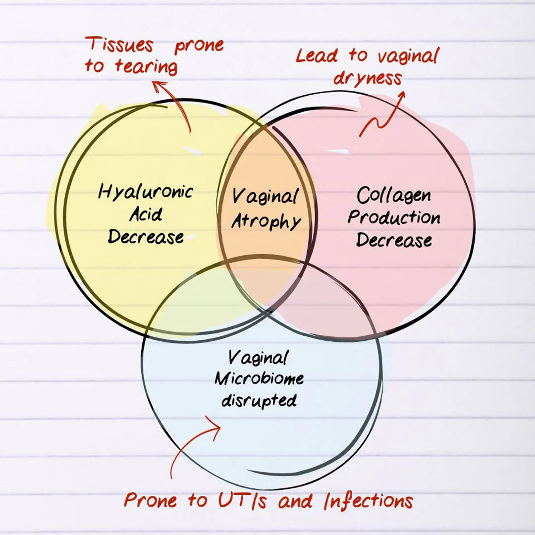 Venn diagram explaining the causes of vaginal atrophy on lined paper.