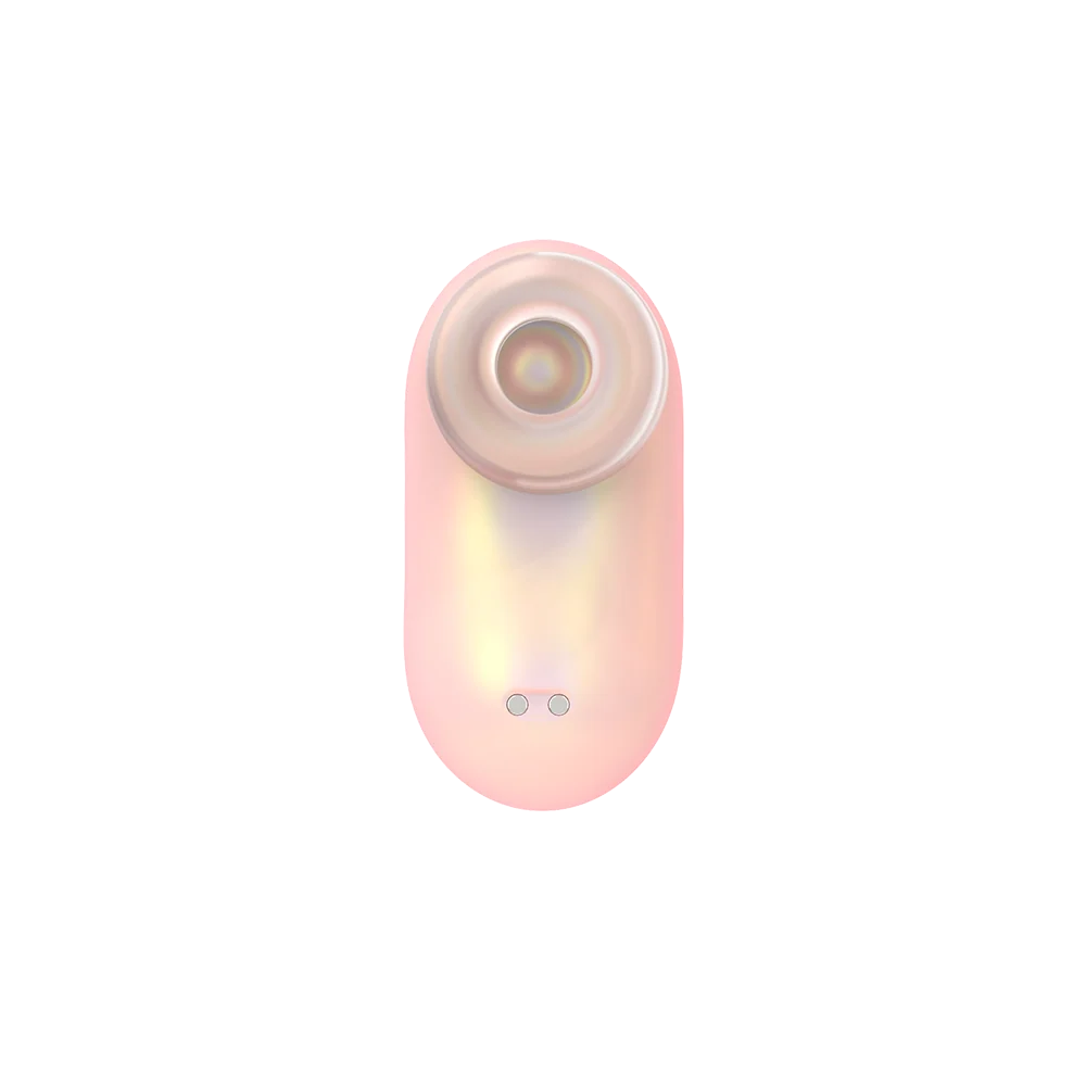 Mini Succulent