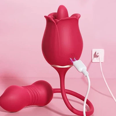 Rose being plugged in