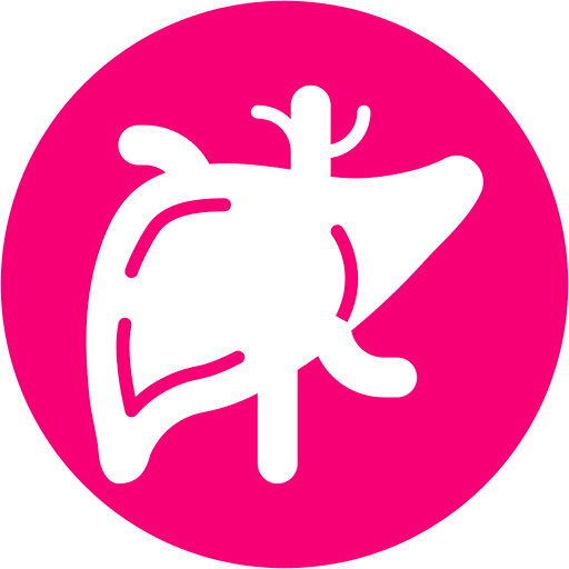 Anatomical Heart