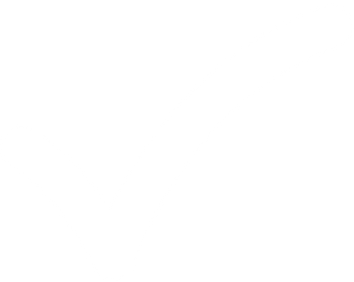 White Check