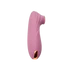 Succulent