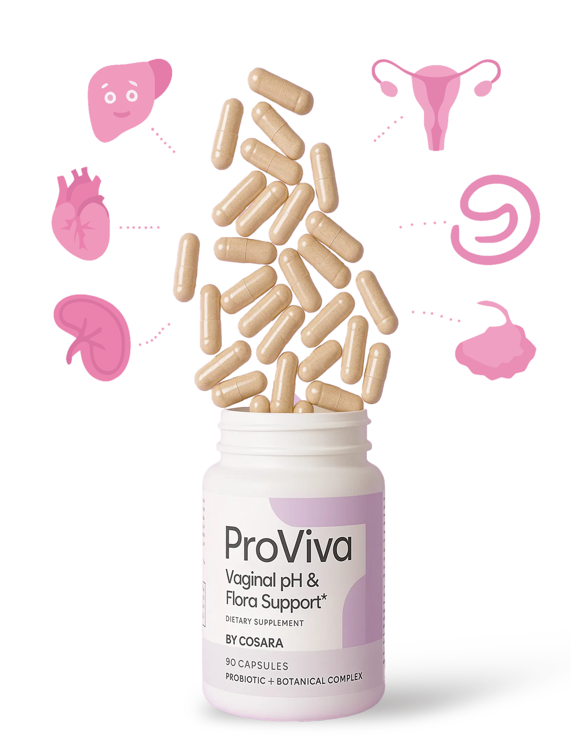 ProViva vaginal pH and flora support supplement with capsules and related anatomical illustrations