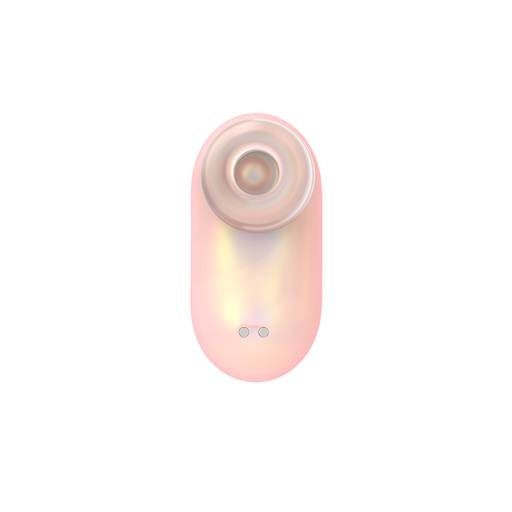 Mini Succulent