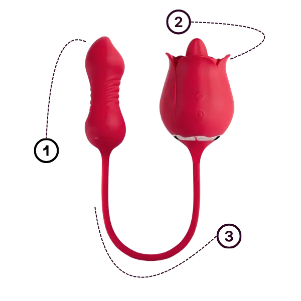 Anatomy of Rose vibrator